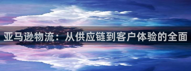 多多28注册链接入口：亚马逊物流：从
