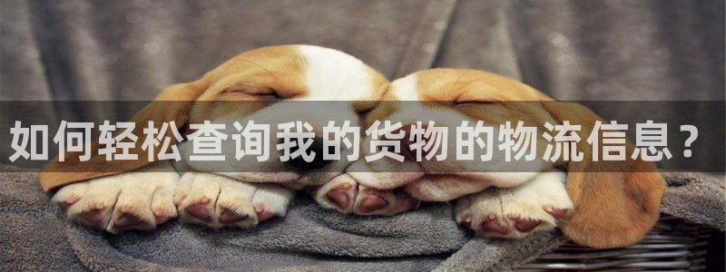 多多28预测加拿大：如何轻松查询我的
