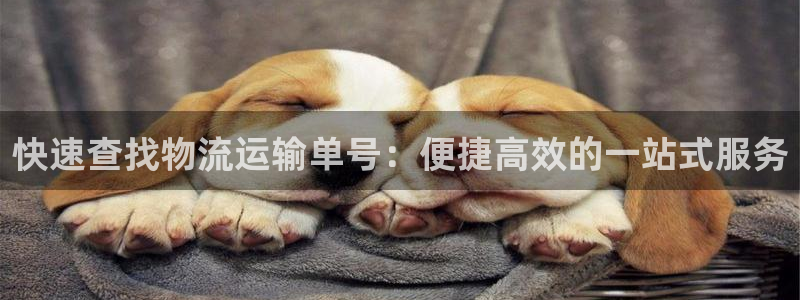 多多28怎么下载不了：快速查找物流运