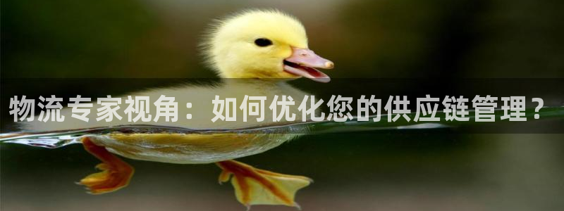 多多28注册上限是啥意思：物流专家视