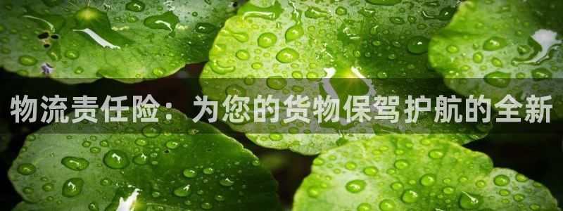 多多28能退款吗：物流责任险：为您的