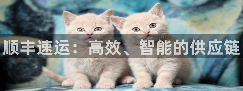 多多28新用户怎么注册：顺丰速运：高