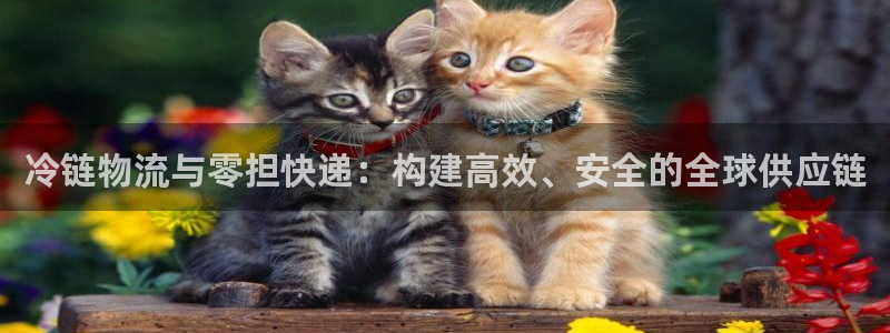 多多28官网链接