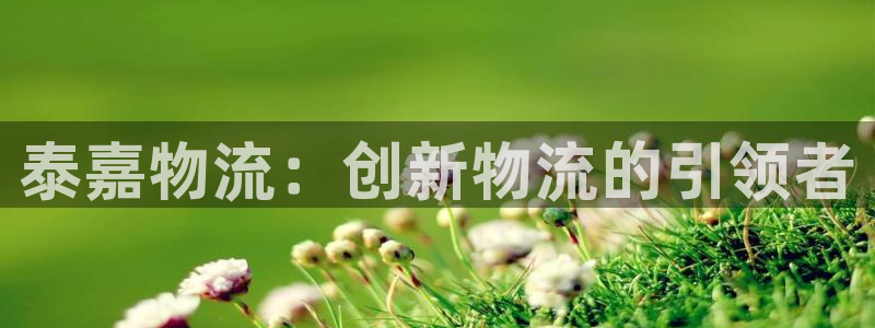 多多28模拟器下载：泰嘉物流：创新物