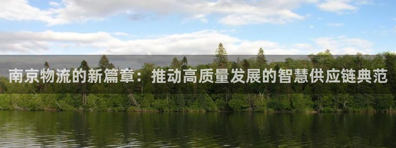 多多28h5链接：南京物流的新篇章：