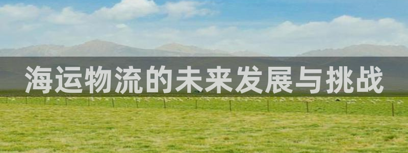 多多28分分28预测：海运物流的未来