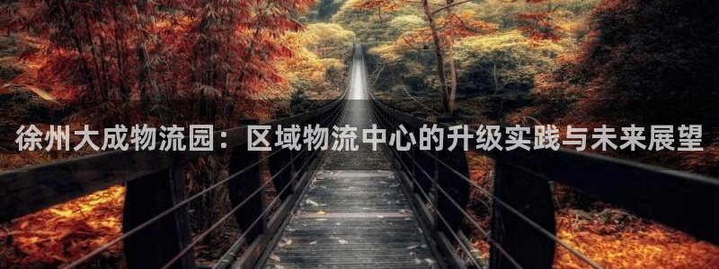 多多28链接