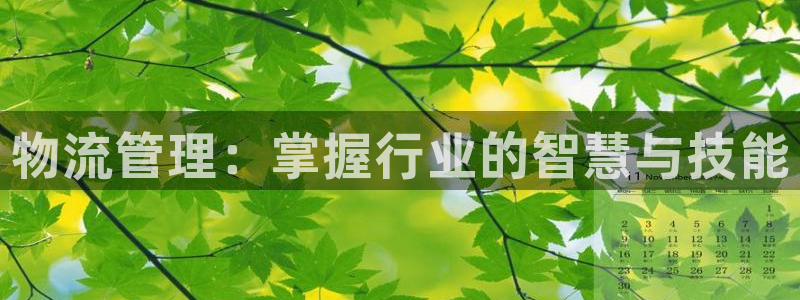 多多28连输10天：物流管理：掌握行