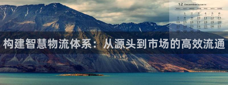 多多28赌博被抓：构建智慧物流体系：