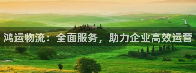 多多28官网下载：鸿运物流：全面服务