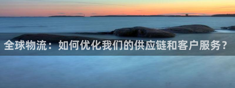 多多28注册链接教程：全球物流：如何优化我们的供应链和客户服