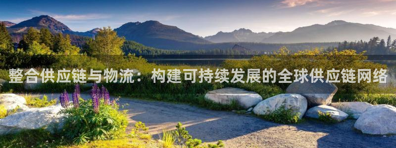 多多28下载体育：整合供应链与物流：