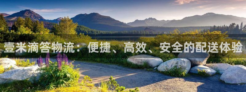 多多28稳吗：壹米滴答物流：便捷、高