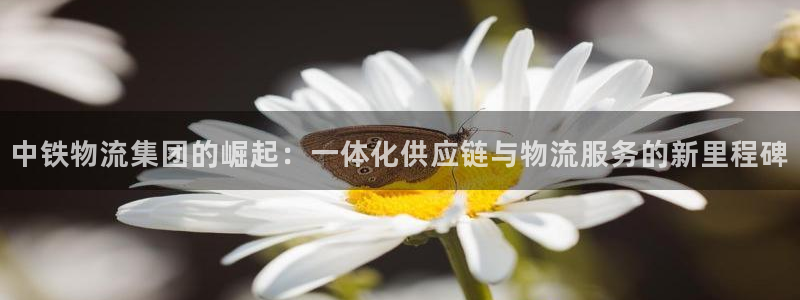多多28官网平台：中铁物流集团的崛起