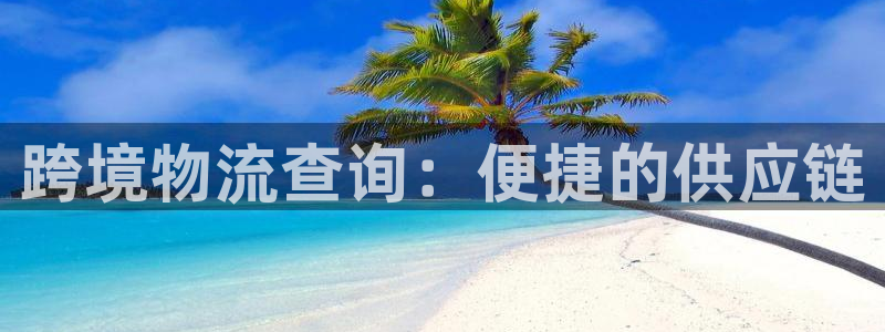 多多28预测:跨境物流查询:便捷的供