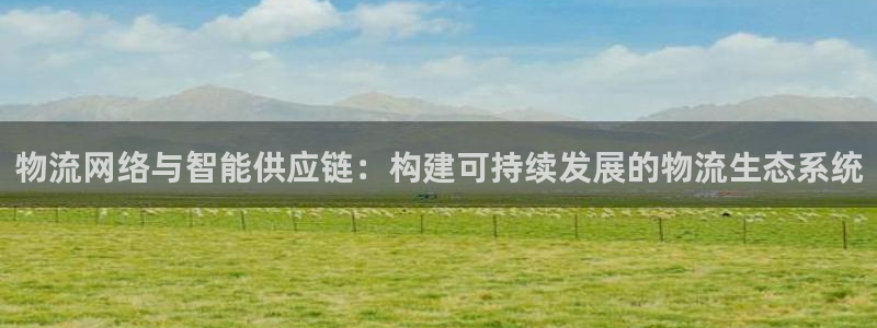 多多28预测：物流网络与智能供应链：