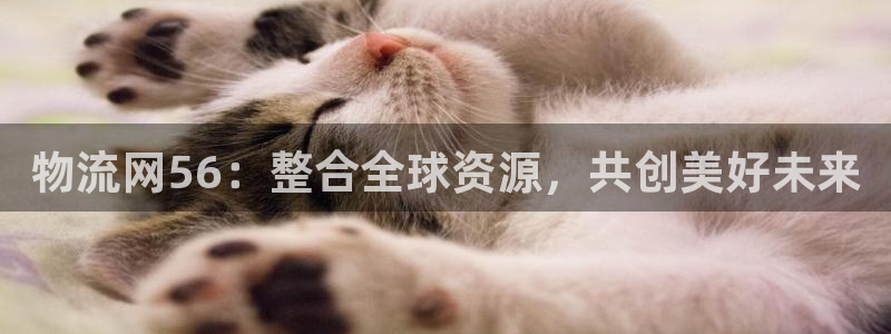 多多28app赢了500万:物流网5