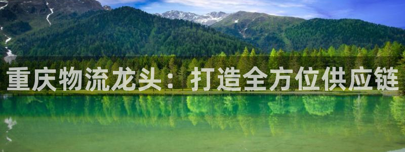 多多28体育下载：重庆物流龙头：打造