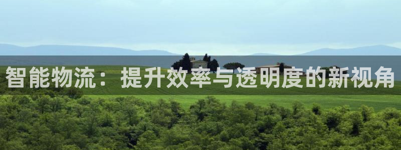 多多28最稳打法:智能物流:提升效率