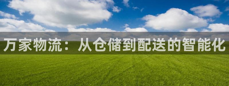 多多28注册网页版：万家物流：从仓储到配送的智能化