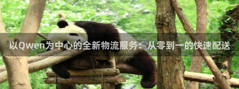 多多28里的财神：以Qwen为中心的