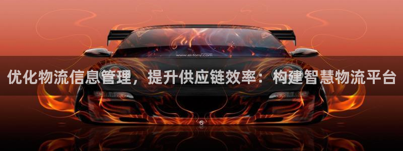 多多28自行车图片大全