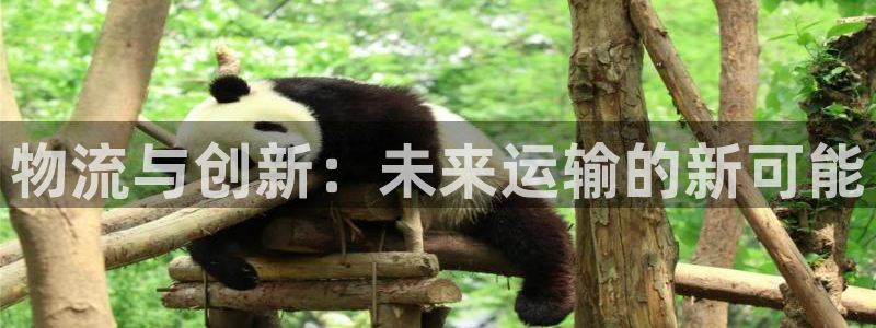 多多28平台注册：物流与创新：未来运输的新可能