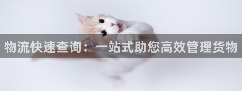 多多28链接多少：物流快速查询：一站