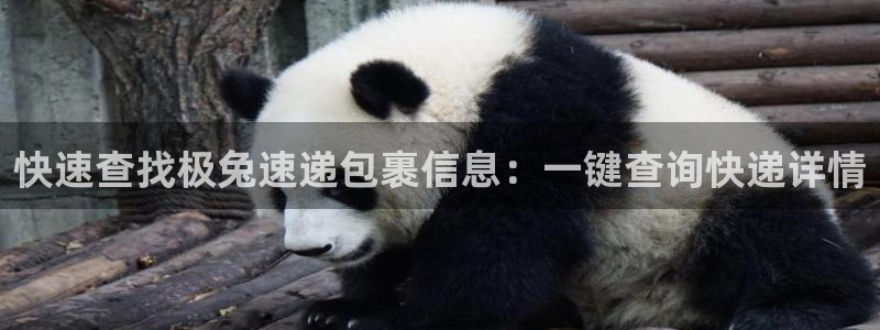 多多28黑款：快速查找极兔速递包裹信