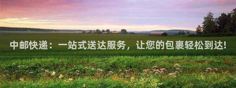 多多28加拿大是什么意思：中邮快递：