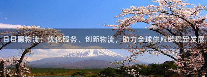 多多28官网下载链接：日日顺物流：优