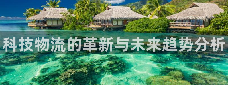 多多28流水怎么算：科技物流的革新与