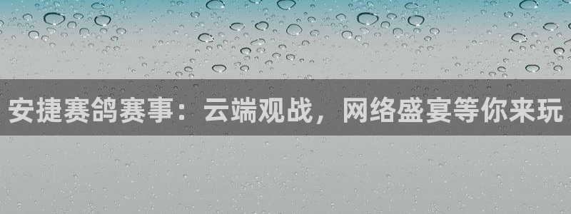 山猫体育足球直播免费观看：安捷赛鸽赛事：云端观战，网络盛宴等你来玩