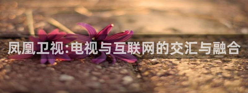 nba直播山猫：凤凰卫视:电视与互联网的交汇与融合