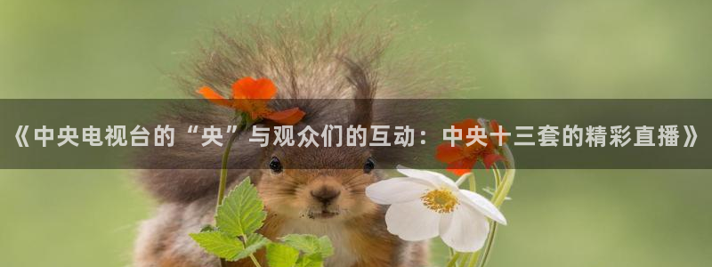 山猫直播体育官网：《中央电视台的“央”与观众们的互动：中央十三套的精彩直播》