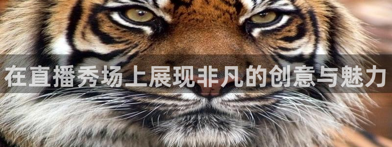 nba山猫体育直播：在直播秀场上展现非凡的创意与魅力