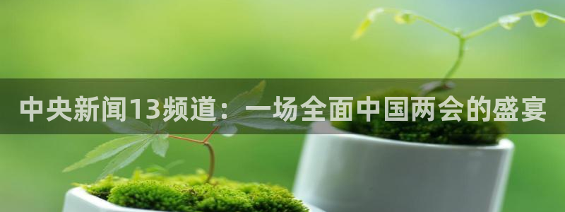 山猫体育直播免费五大联赛：中央新闻13频道：一场全面中国两会的盛宴