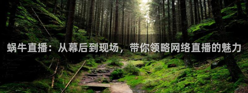 山猫直播足球在线直播：蜗牛直播：从幕后到现场，带你领略网络直播的魅力