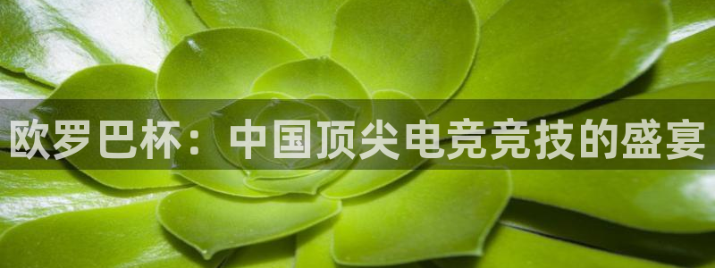山猫足球免费直播高清：欧罗巴杯：中国顶尖电竞竞技的盛宴