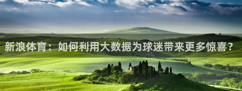 山猫体育平台：新浪体育：如何利用大数据为球迷带来更多惊喜？